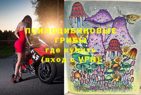 мяу мяу мука Армянск