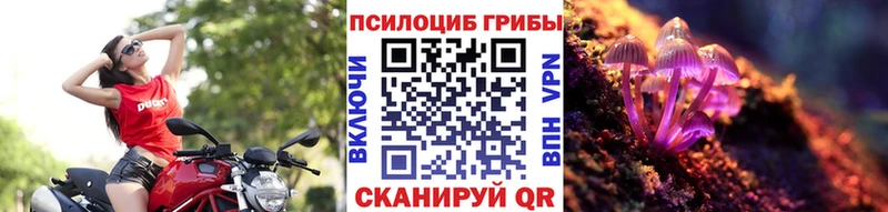 сколько стоит Аткарск Псилоцибиновые грибы GOLDEN TEACHER